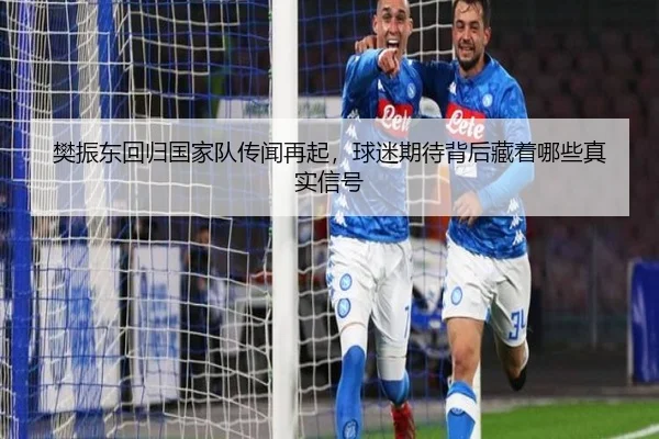 樊振东回归国家队传闻再起，球迷期待背后藏着哪些真实信号